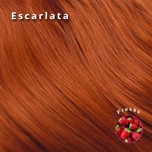 SET⚡ 7 Clip (7181044187305)